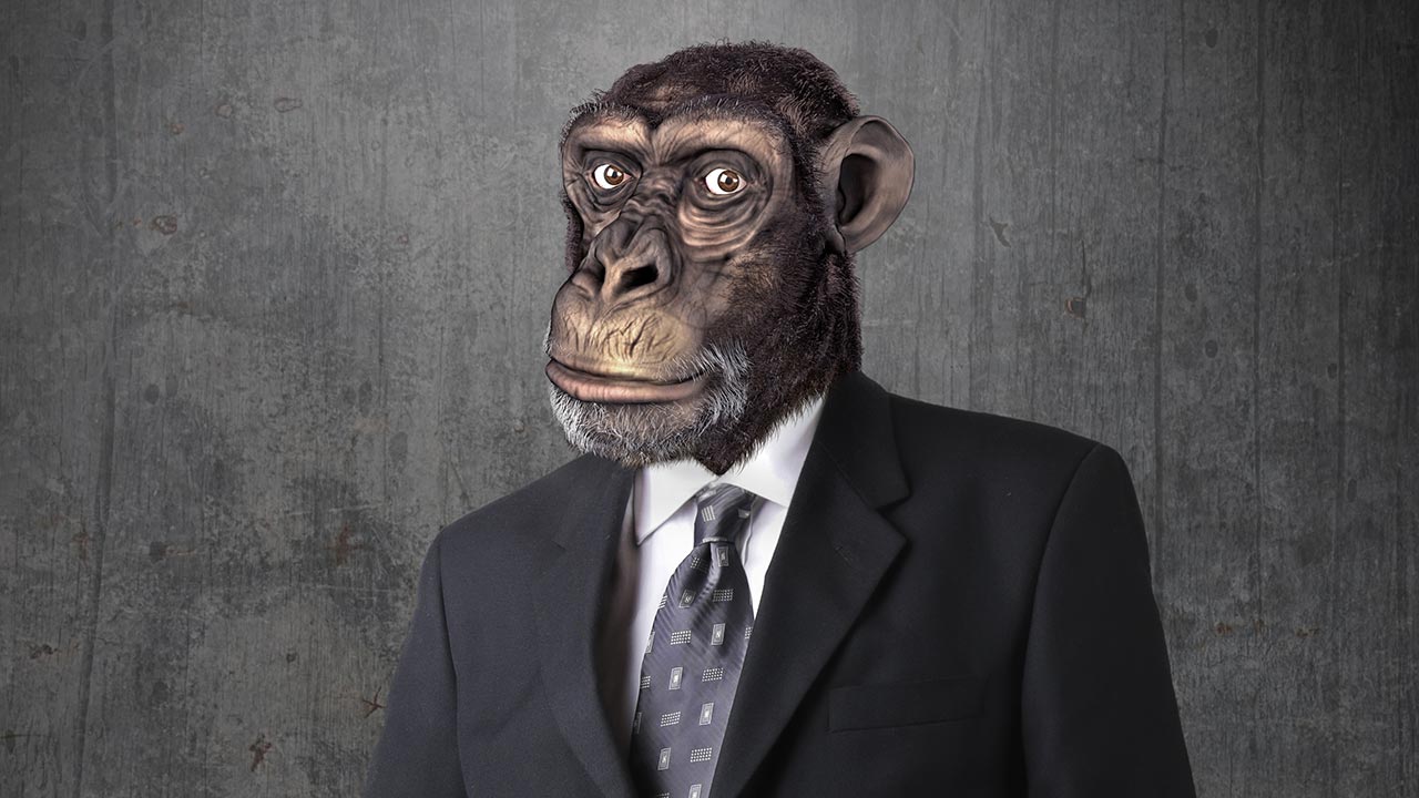 Primaten in Anzügen – was wir von Affen über Führung lernen können - Profil  M